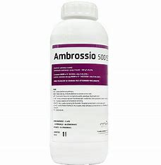AMBROSSIO 500 SC  1L  INNVIGO