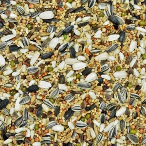 Karma dla średnich papug PŚ 10 kg MDM