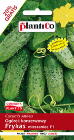 Ogórek konserwowy FRYKAS F1