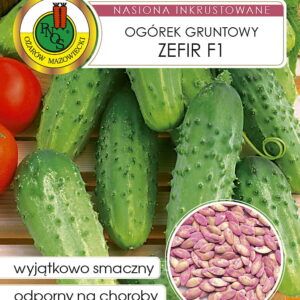 Ogórek gruntowy ZEFIR F1