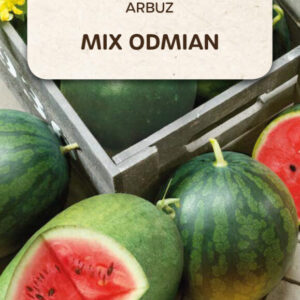 Arbuz MIX ODMIAN 1g TORAF