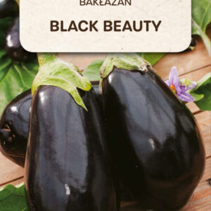 Bakłażan BLACK BEAUTY 1g TORAF
