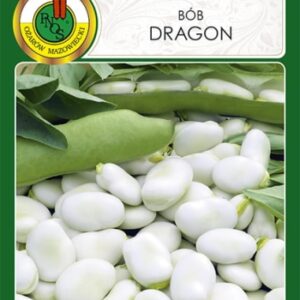 Bób DRAGON 50g