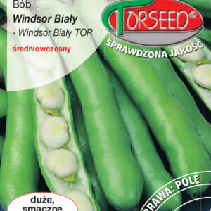 Bób WINDSOR BIAŁY TOR 50g TORSEED