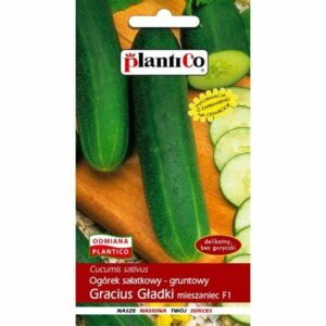 Ogórek sałatkowy - gruntowy GRACIUS GŁADKI F1