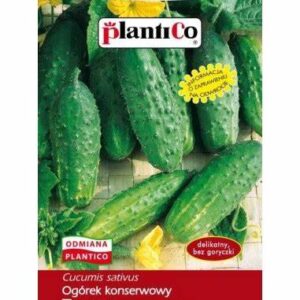 Ogórek konserwowy TYMON F1