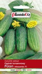 Ogórek konserwowy POLAN mieszaniec F1 5g - nasiona inkrustowane