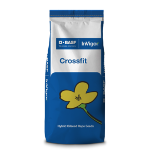 Nasiona rzepaku CROSSFIT F1 -MIESZAŃCOWY (HYBRYDOWY) - KIŁOTOLERANCYJNY 1 JS 1,5MLN NASION