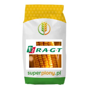 Nasiona rzepaku AMAZZONITE F1 mieszańcowy ( hybrydowy) 1,5 mln. nasion