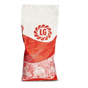 Nasiona rzepaku AURELIA F1 - mieszańcowy (hybrydowy) 1,5 mln. nasion