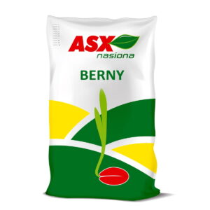 Nasiona rzepaku BERNY 1,05 mln nasion (populacyjny)