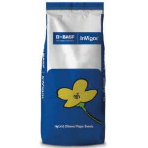 Nasiona rzepaku DARLING F1 mieszańcowy (hybrydowy) 1,5 mln. nasion