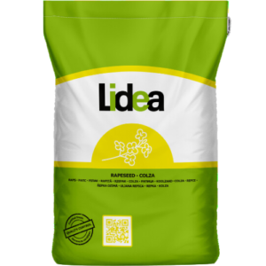 Nasiona rzepaku ES CRITERIO F1  (hybrydowy) 1,5 mln - kiłoodporny