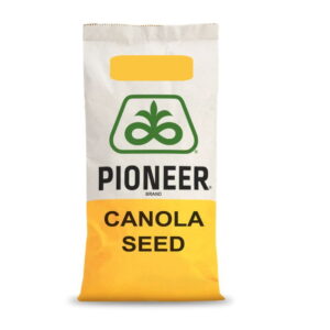 Nasiona rzepaku PT315 F1 - mieszańcowy (hybrydowy) 1,5 mln nasion