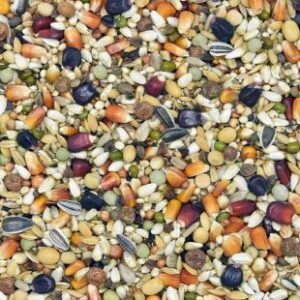 L – LOTOWA LEKKOSTRAWNA “EXTRA SPORT”